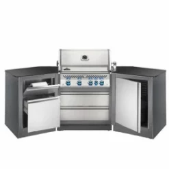 Cuisine Extérieure Napoleon Oasis 200 Avec Barbecue BIPRO 500