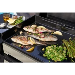 Plancha électrique Forge Adour PREMIUM 60 Acier Noir Et Gris -Raviday Barbecue Soldes cuisson plancha premium 1